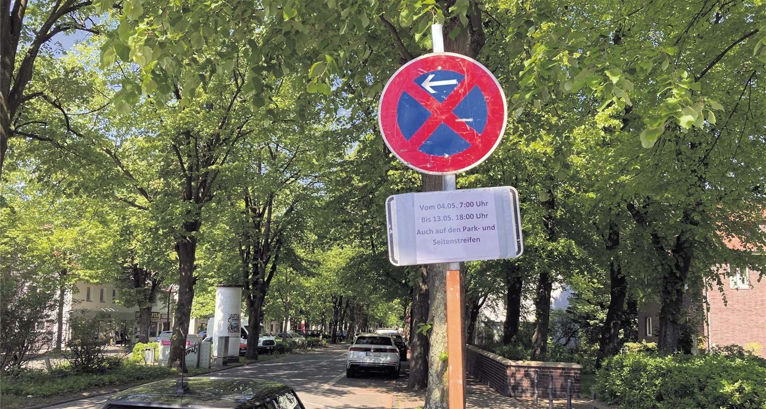 Halteverbotszone für den Umzug in Düsseldorf: Ein Halteverbotsschild mit Pfeil, darunter ein Zusatzschild mit Datum und Uhrzeit, an einer Straße mit Bäumen zu beiden Seiten